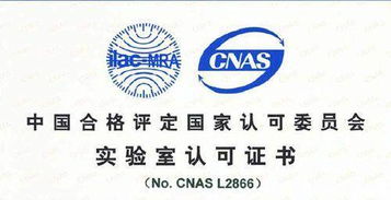 CNAS認(rèn)可的專業(yè)咨詢單位機構(gòu)在軟件開發(fā)領(lǐng)域的作用